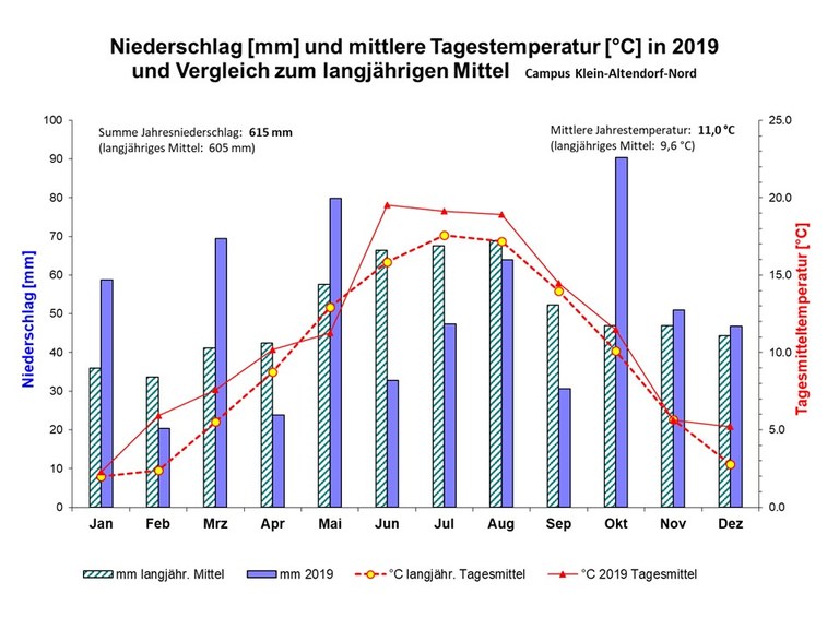 Niederschlaege und Temperaturen CKA 2019.jpg