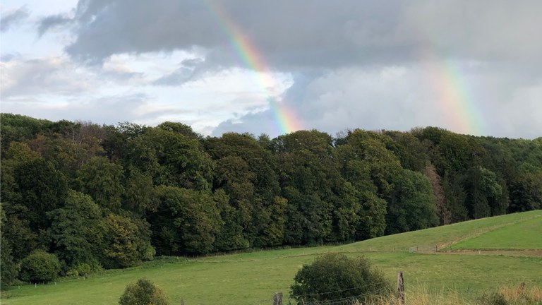 20200925 175755 Regenbögen hinter Hirtsberg (16-9).jpg