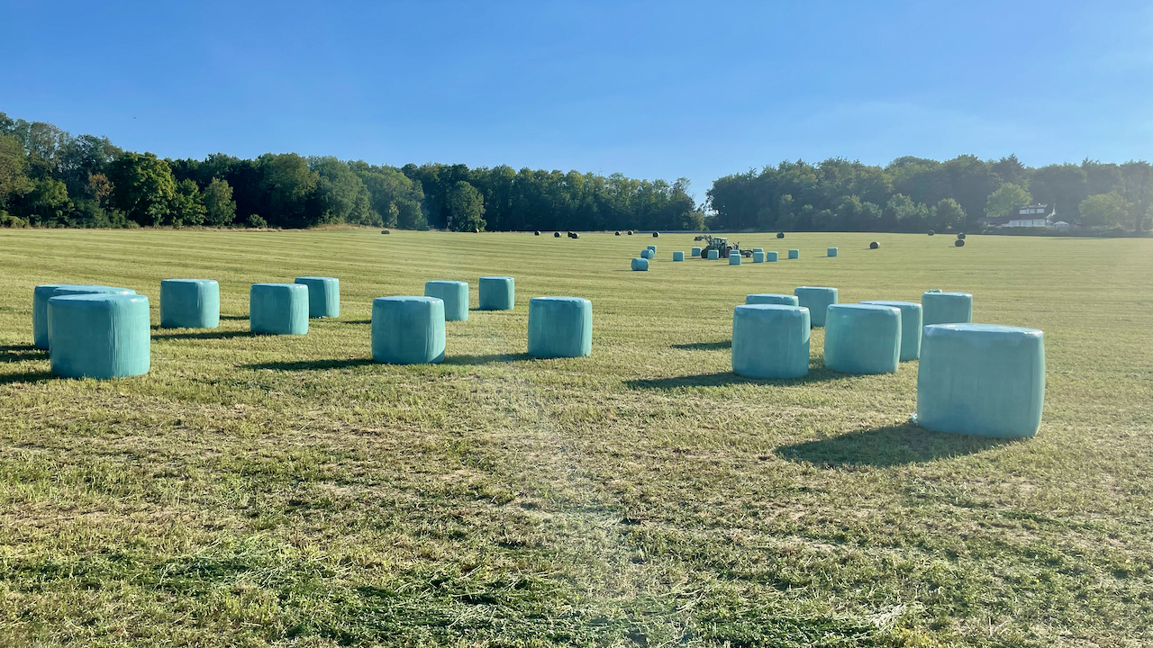 20220810 Luzernesilage Rundballen (gewickelt) auf Schlag1 (1).jpeg