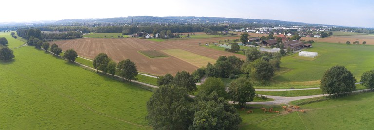 Welche ökologische Bedeutung hat der Sonnenhutanbau in der Kulturlandschaft?