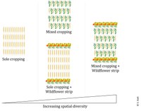 Increasing level of diversity.