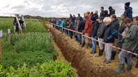 Vorstellung des Versuchs am Feldtag